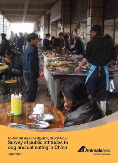 Research into China s Black Industry Chain of Dog Meat In June 2015, Animals Asia released a series of in-depth research reports on China s dog meat industry.