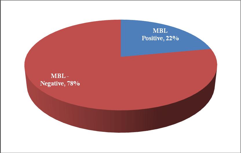 , (2008) also reported potent antimicrobial activity of aztreonam (79.17%) to MBL positive isolates. In the present study 10 (45.5 %) of the MBL producers were imipenem sensitive.