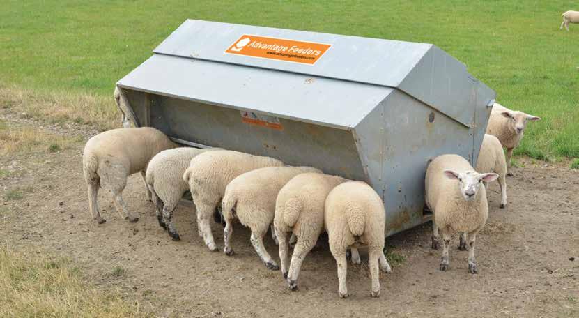 ON FARM TRIAL PRODUCTION/ HA INCREASES AS RUMEN PERFORMANCE IS ENHANCED RESULTS SUMMARY: An on-farm trial found that a mob of twinbearing ewes supplemented by Advantage Feeders in late pregnancy and