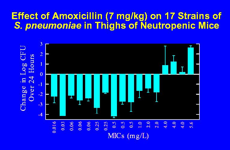 Amoxicillin in mouse thigh infection model Serum levels following 7 mg/kg subcutaneous dose in renally impaired mice 500-mg oral dose in normal human volunteers 30% of dosing interval (.