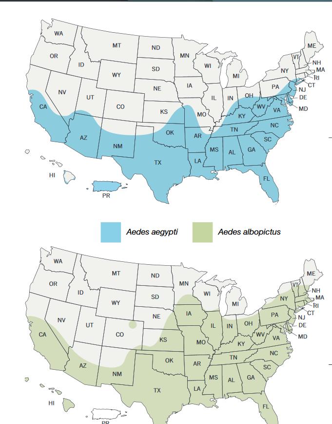 Fig 1. Approximate distribution of Aedes aegypti and Aedes albopictus in the US (CDC map) 2.