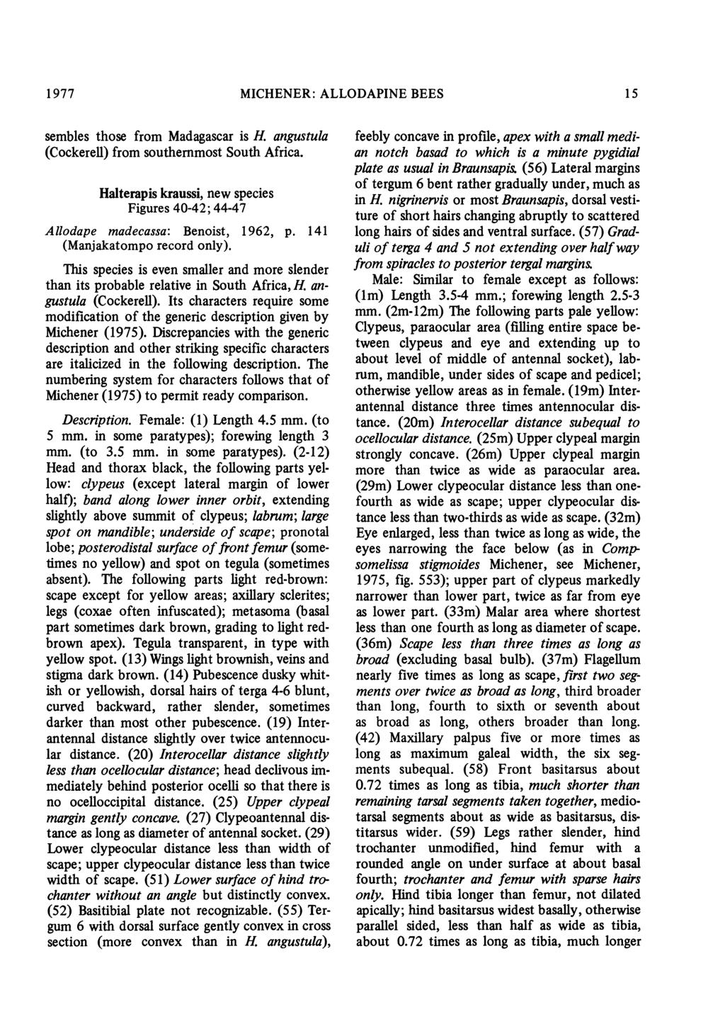 1 977 MICHENER: ALLODAPINE BEES 1 5 sembles those from Madagascar is H. angustula (Cockerell) from southernmost South Africa.