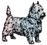 The Northern Cairn And West Highland White Terrier Club SCHEDULE OF 26 CLASS UNBENCHED OPEN SHOW (Not Judged on the Group System) (Held under Kennel Club Rules & Regulations) TO BE HELD AT HOUSE On