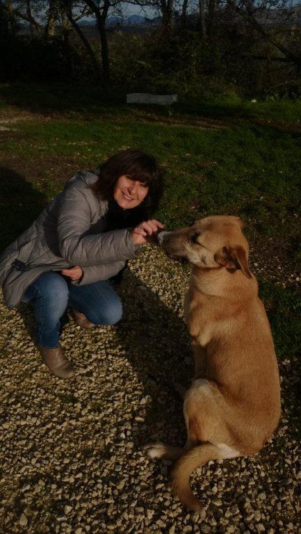 Dr. Rosalba Matassa Head of Animal Welfare Unit, Ministry of Health, Italy She is an expert on animal welfare. In the period of 2001-2003, she carried out the following activities: 1.