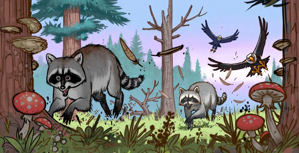 6 When the young eagle went into the woods, she saw two shadows running towards her. What s that? she exclaimed. It was two raccoons! She tried to run away, but the raccoons were much too fast.