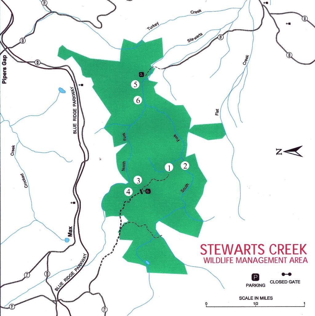 Stewart s Creek WMA Survey