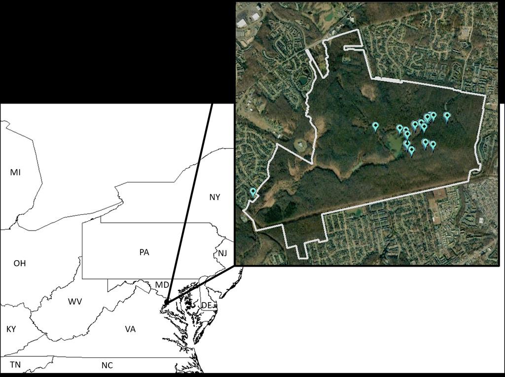 Catesbeiana 2017 37(2) Figure 1. Huntley Meadows Park. Blue icons represent sampling locations. We swabbed multiple individuals at each sampling location.