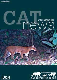 Services to members and partners 2011/12 18 Cat News In 2011 and 2012 (until mid-year) we have published the regular issues Cat News 55 and 56 and Special Issue No 7 on the outcomes of a National
