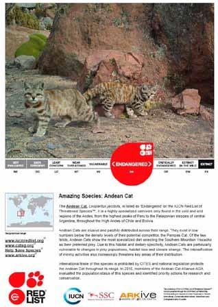 The Network Amazing Species 04 To increase awareness of biodiversity, and raise the profile of threatened species, IUCN/SSC launched in 2010 the year of biodiversity - the IUCN Red List Species of