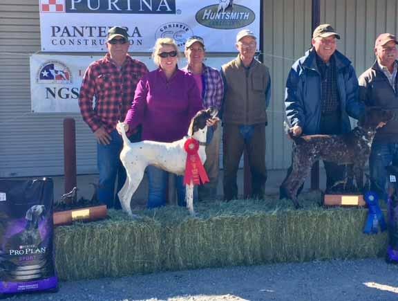 2018 NGSPA Quail Championships handler, Ronnie Sale, and owner and scout, Keith Richardson, no to relinquish her place to the rest of the dogs for the remainder of the stake.