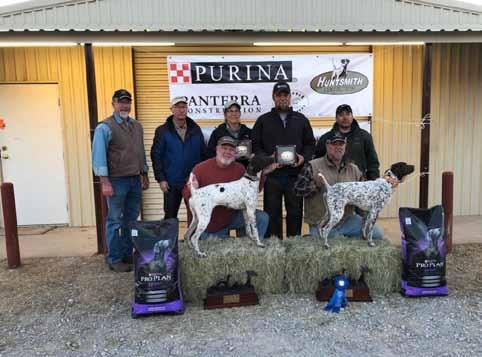 2018 NGSPA Quail Championships was found standing to the front on point with manners all good through the flush and shot at 27 minutes.