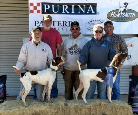 2018 NGSPA Quail Championships AMATEUR SHOOTING DOG Champion Snowy River s Full Strut GSP Male 12/25/2011 FDSB# 1646738 Sire: Snowy River s Cuttin the Edge Dam: Snowy River s SS Super Sport Owner: