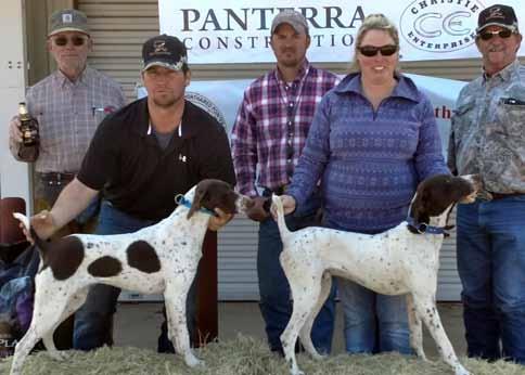 2018 NGSPA Quail Championships 2nd Place Covey Up s Wicked Witch Hazel GSP Female 4/17/2016 FDSB# 1675909 Sire: Kimber Tactical Dam: Sixxem s A Cut Above Owner: John Kadavy Handler: Josh Nieman 3rd