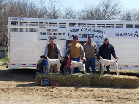 2018 NGSPA Great Plains Championship Brace #11B Windwalker s Sexy Sadie Sadie Owner: Handler: Phil Mathiowetz Sadie finished fair and had one find. It just was not her day.