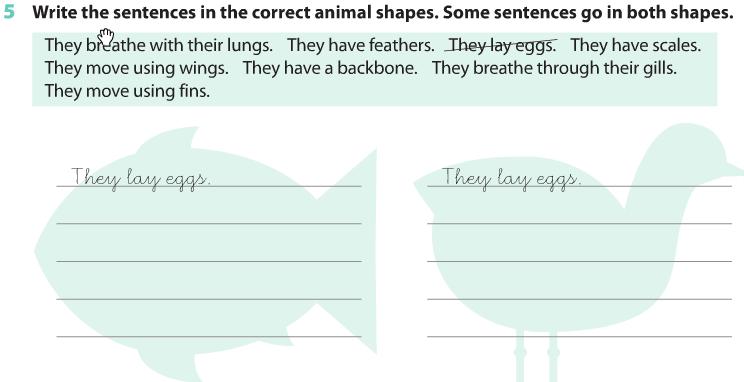 Activities 1)How are birds different from mammals? Birds are different from mammals because 2) True or false? Correct the ones that are false. a)birds are vertebrates. b)all birds are carnivores.