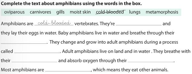 Amphibians are Amphibians live in Amphibians eat -Compare the characteristics of