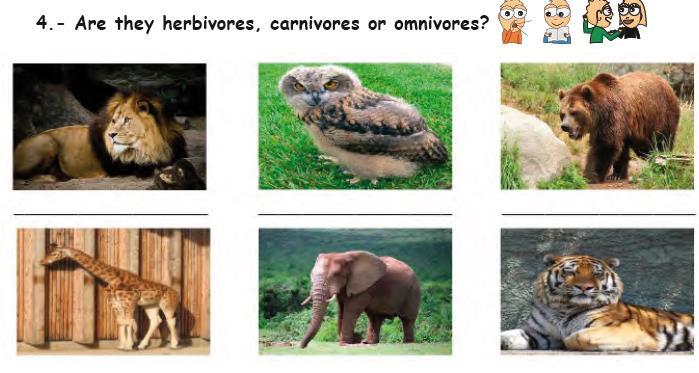 We classify animals according to three characteristics: 1.