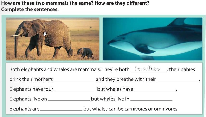 2)What are the characteristics of mammals? Mammals have Mammals are 3)Which of these characteristics are unique to mammals? 4) Look at the pictures of animals. How do these animals move?