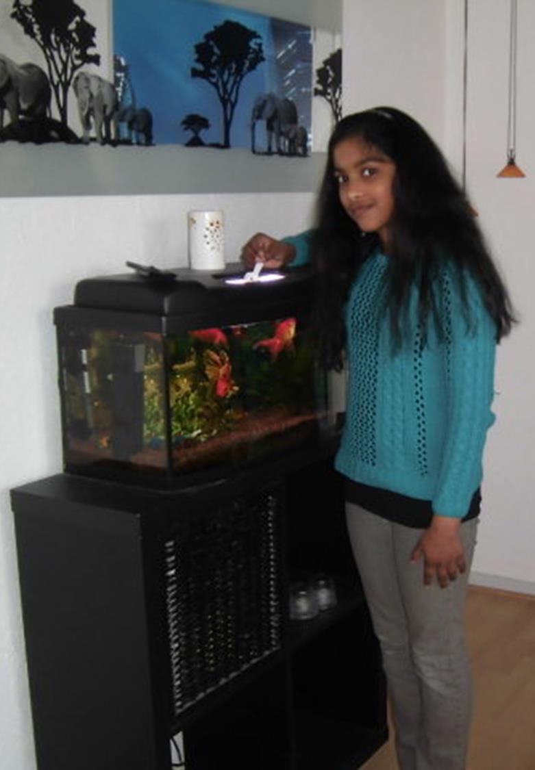 Mathura s fish My pets are fish. I got them about 4-5 years ago. I have many fish. We just got shrimps. There are about 30-40 shrimps. The shrimps have a red color. There are different fish.
