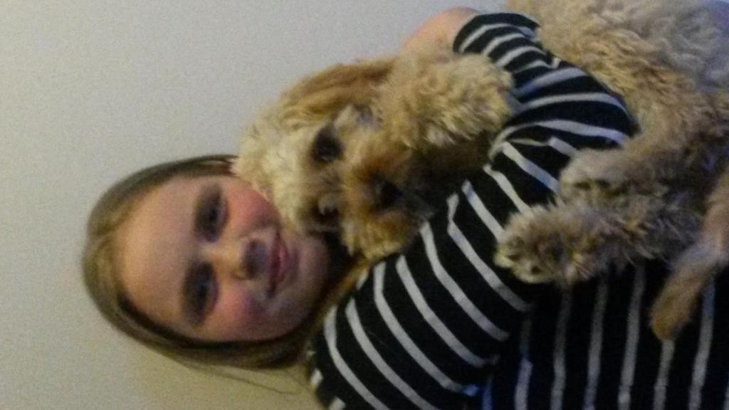 Mathilde E s dog My dog s name is Maddie. She is a Cavapoo. Her mom is a Pudel and her dad is a Cavale. She has birthday November 17 th.