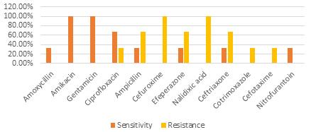 They have also shown equivalent sensitivity and resistivity patterns to antibiotics like ciprofloxacin and gentamicin.