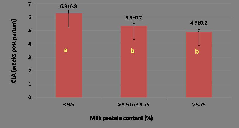 Effect of protein content on commencement of luteal