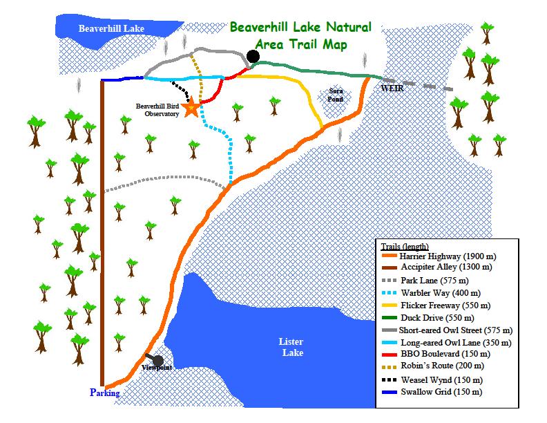Figure 1. Beaverhill Lake Natural Area Trail Map. The black dot indicates approximately where the new grid is located. Image modified from Beaverhill Bird Observatory, Trail Map PDF.