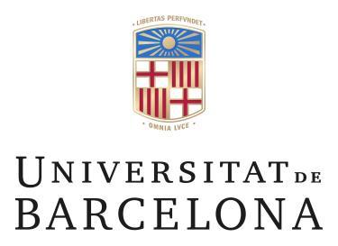 Universitat de Barcelona, Spain. 2.