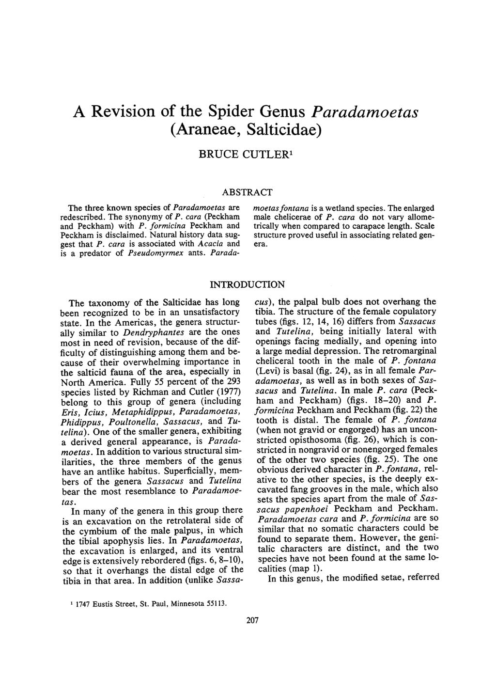 A Revision of the Spider Genus Paradamoetas (Araneae, Salticidae) BRUCE CUTLER' ABSTRACT The three known species of Paradamoetas are moetasfontana is a wetland species. The enlarged redescribed.