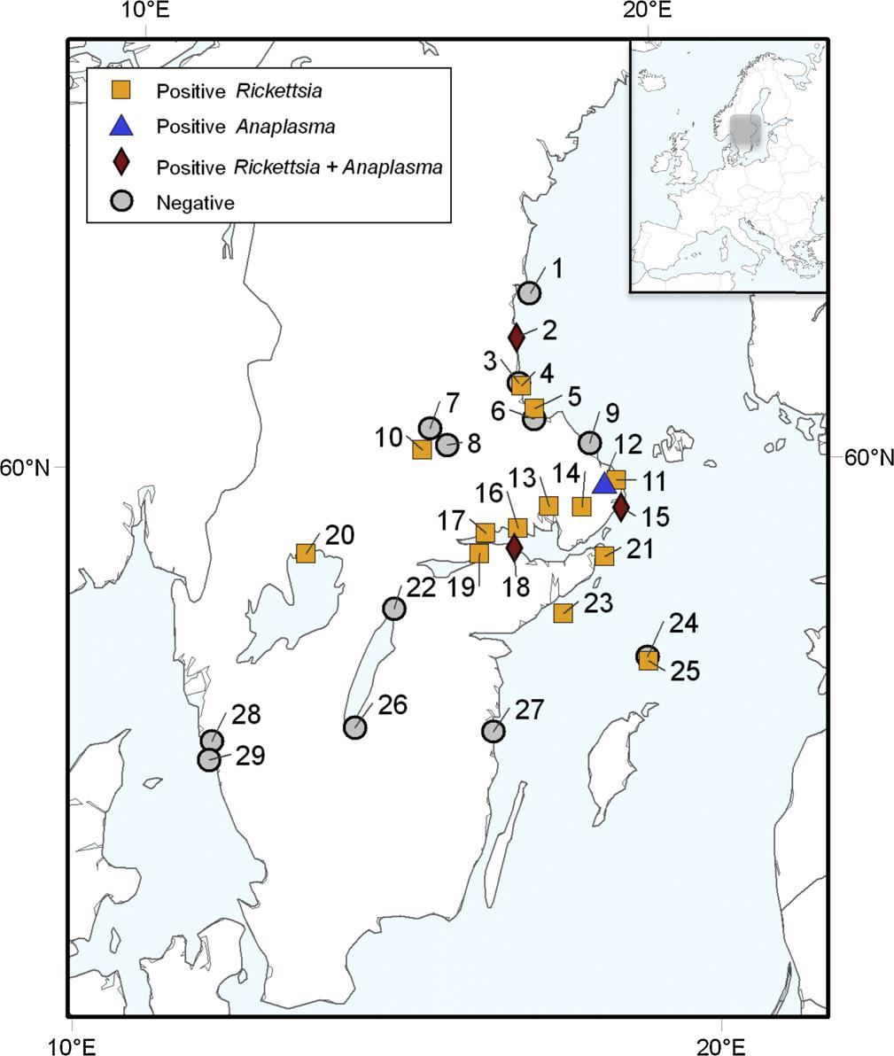 K. Wallménius et al. / Ticks and Tick-borne Diseases 3 (2012) 100 106 103 Fig. 1. Tick sampling localities in Sweden in order from north to south. Names of the localities are listed in Table 1.