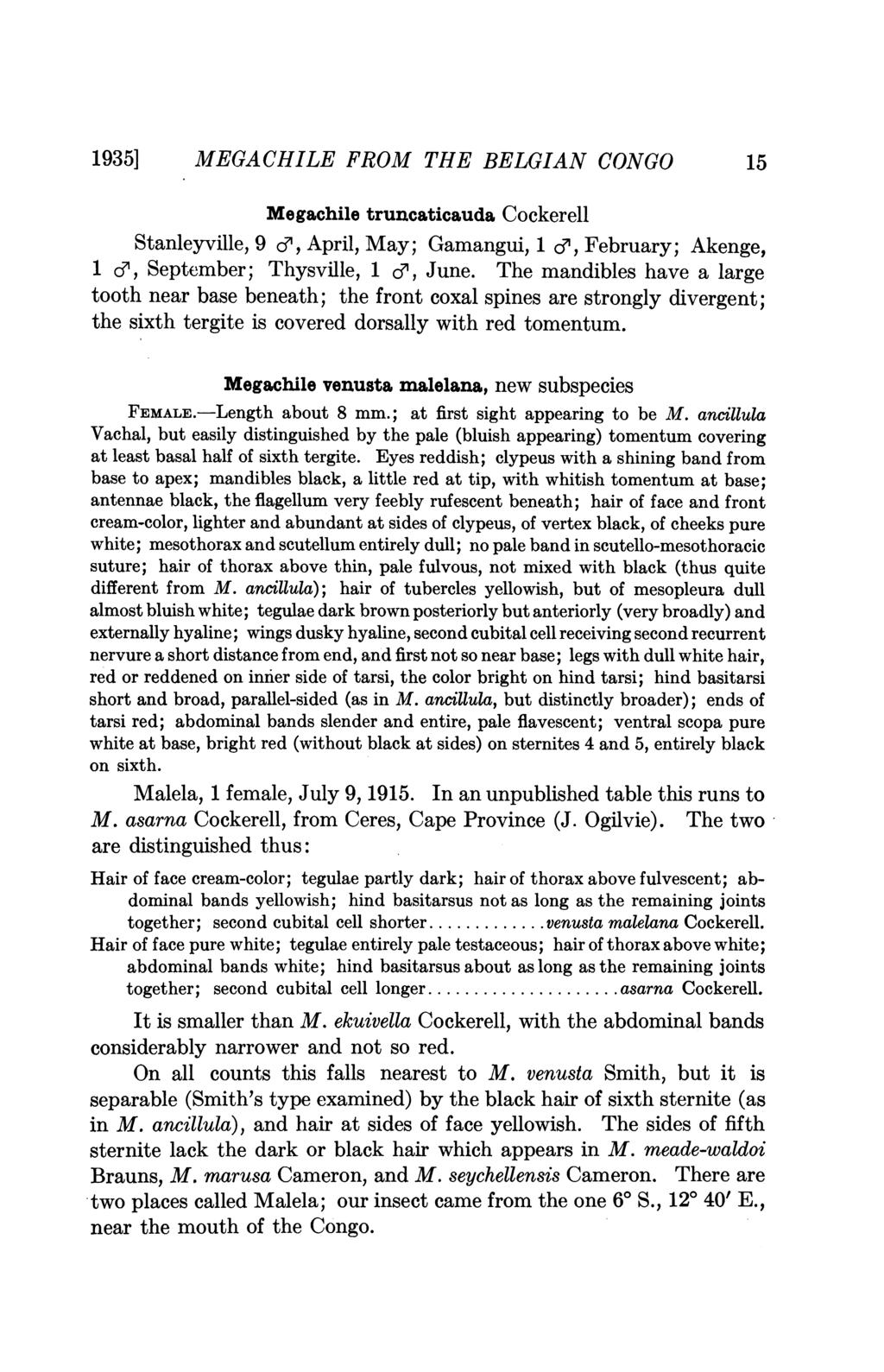 1935] MEGACHILE FROM THE BELGIAN CONGO 15 Megachile truncaticauda Cockerell Stanleyville, 9 e, April, May; Gamangui, 1 c, February; Akenge, 1 e, September; Thysville, 1, June.
