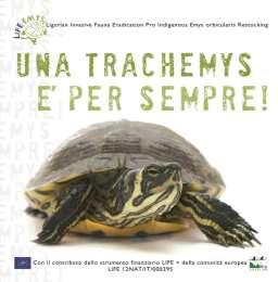 clinics teachers Animal shopkeepers. Trachemys is forever!