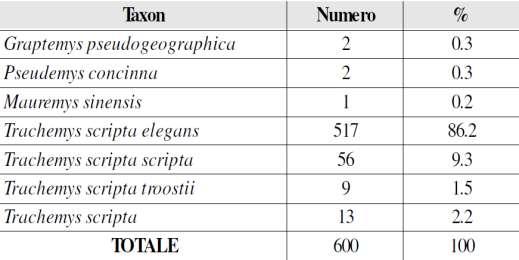 Results Captures: 600 non-native pond terrapins Expected 400 La Spezia: captured 482
