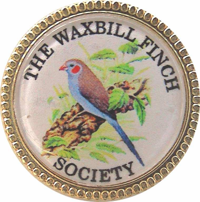 The Waxbill Finch Society was formed in June 1991 and is managed by an elected committee that is appointed every July at the A.G.M.