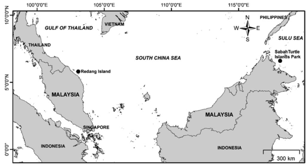 MULTIPLE PATERNITY IN EGG CLUTCHES OF GREEN TURTLES IN REDANG ISLAND 13 The Sabah Turtle Islands situated at the Sulu Sea provide an important nesting habitat for the green turtle in Southeast Asia