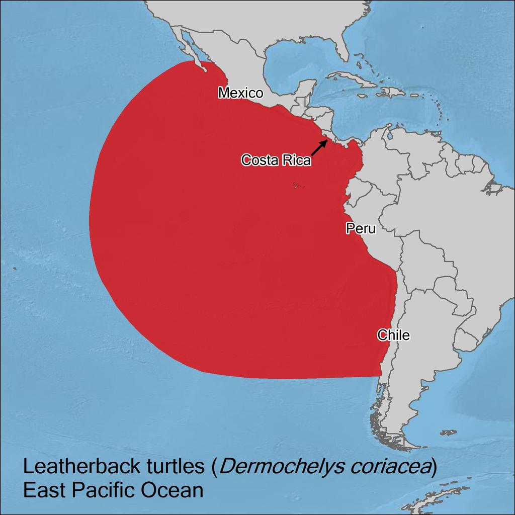 REGIONAL ACTION PLAN FOR REVERSING THE DECLINE OF BACKGROUND The East Pacific (EP) leatherback regional management unit (see map at right) nests along the coast of Mexico, Central, and South America,