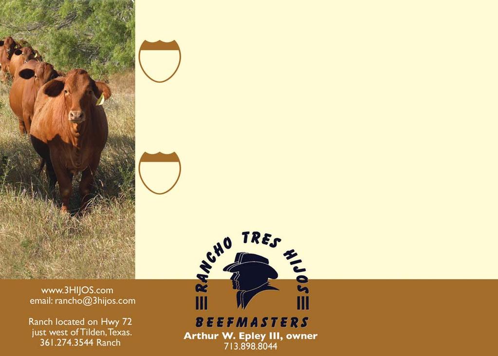 female with the unique ability to produce quality offspring by both performance and classic Beefmaster sires.