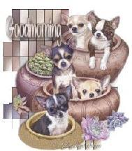 4P s All Toy Dog Club of NSW Championship Show Saturday 13 th October 2018 Bill Spilstead Complex for Canine Affairs 44 Luddenham Road Erskine Park NSW Judge Order of Judging Mr Allen Anderson (SA) -