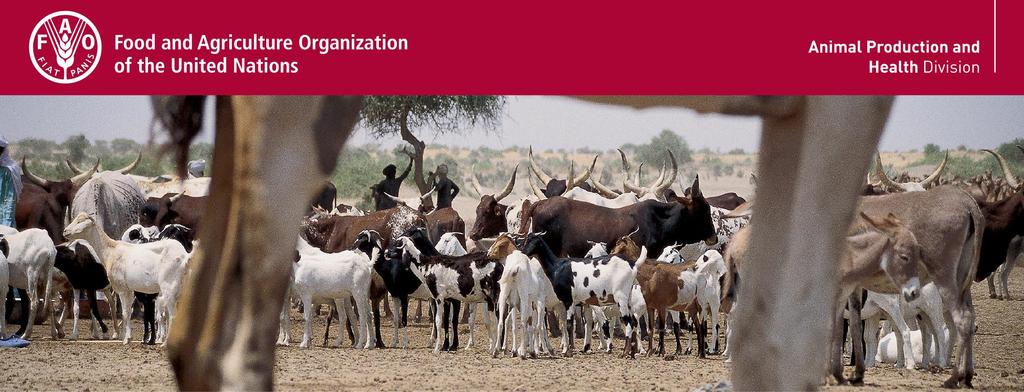 FAO Initiatives and Protocols on Brucellosis and Tuberculosis Prevention and Control in Animals