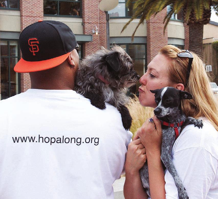 We foster hope Hopalong Animal Rescue is the largest, all-foster animal