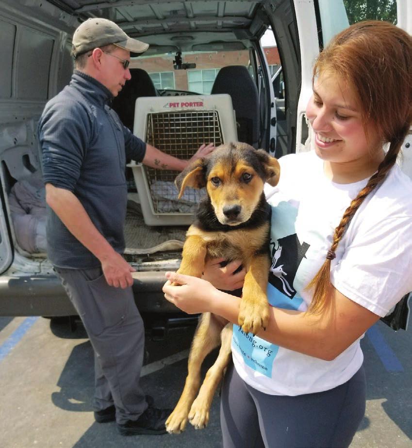 When the SANTA ROSA FIRES struck in 2017, we instantly responded and helped evacuate animals from the Sonoma