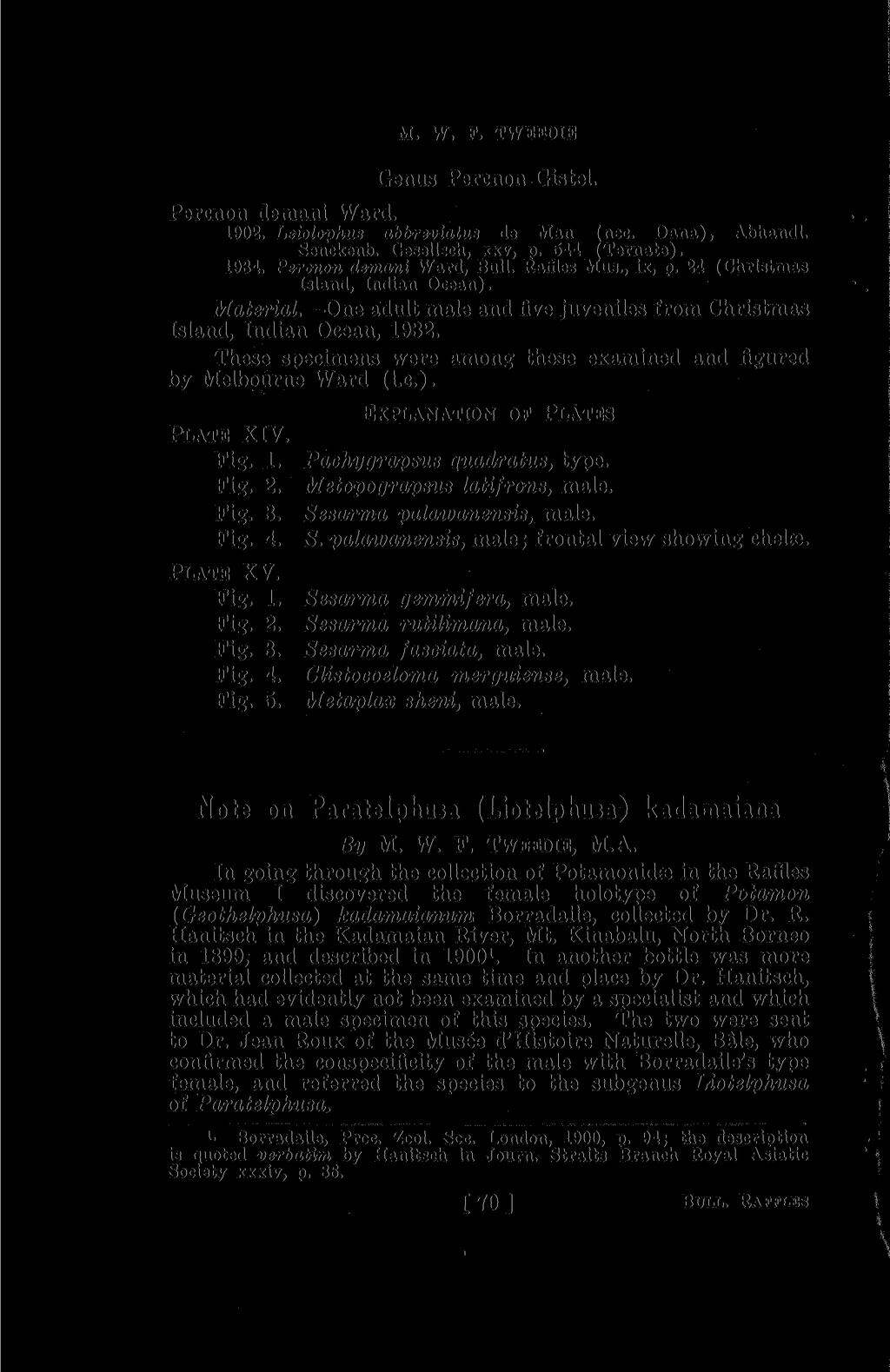 M. W. P. TWEEDIE Genus Percnon Gistel. Percnon demani Ward. 1902. Leiolophm abbreviate de Man (nec. Dana), Abhandl. Senckenb. Gesellsch, xxv, p. 544 (Ternate). 1934. Percnon demani Ward, Bull.