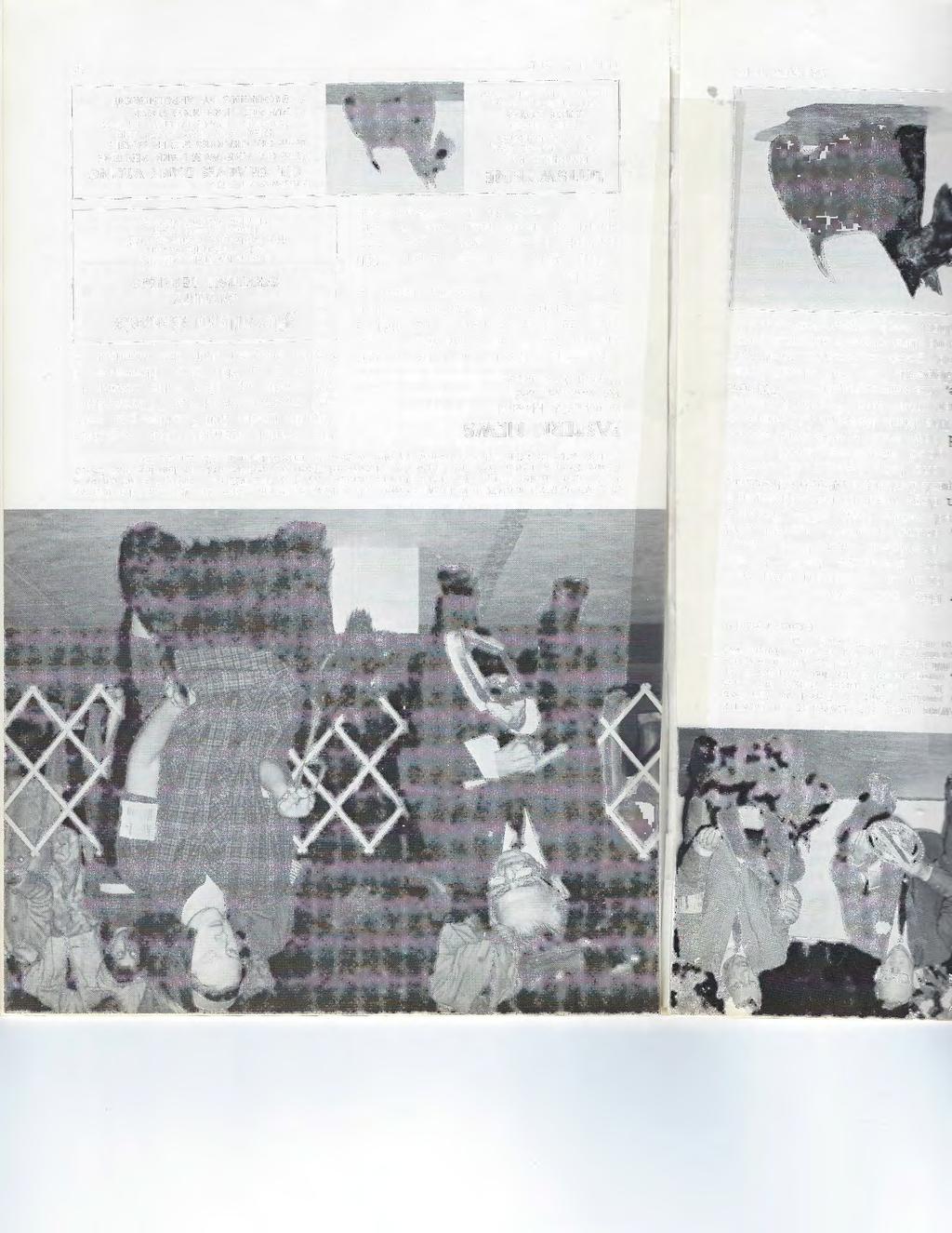 CH. 11:IAR-DE'S DARK FELICIA shown going Best of Breed, Nov. 19, 1967, at the Quincy J{. C. show under judge, 11:Ir. Louis 11:Iurr, handled by Sue FitzWilliam.