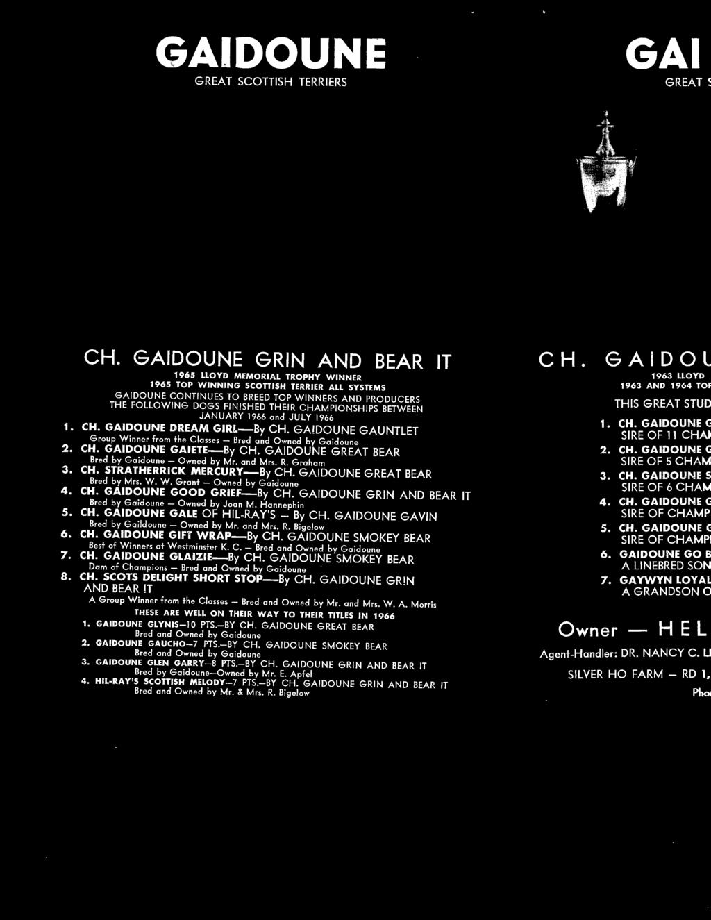 GAIDOUNE GRIN AND BEAR IT Bred by Gaidoune - Owned by Joan M. Hannephin 5. CH. GAIDOUNE GALE OF HIL-RAY'S - By CH. GAIDOUNE GAVIN Bred by Gaildoune - Owned by Mr. and Mrs. R. Big elow 6. CH. GAIDOUNE GIFT WRAP-By CH.