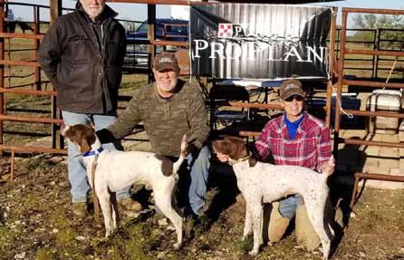 2018 NGSPA TEXAS CHAMPIONSHIP Amateur Shooting Dog - Standing Andy Gerdes (judge), Kneeling James Messer with MSR s Lord of the Dragonstone and Terry Bomer with Texas Jazzed Up Blues 2018 Texas