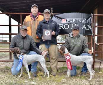 2018 GULF COAST GERMAN SHORTHAIRED POINTER CLUB Fall Field Trial and Purina Points Trial Amateur Gun Dog (L-R)) James Messeer (scout) with Zoe, David Vogelsang (judge), Terry Bomer and Kirk Loftin