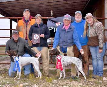 Club of Houston held their fall field trial November 17th & 18th, 2018 at the Bible Camp Ranch, Crawford Texas. The Open and Amateur Gun Dog were Purina Points Stakes.