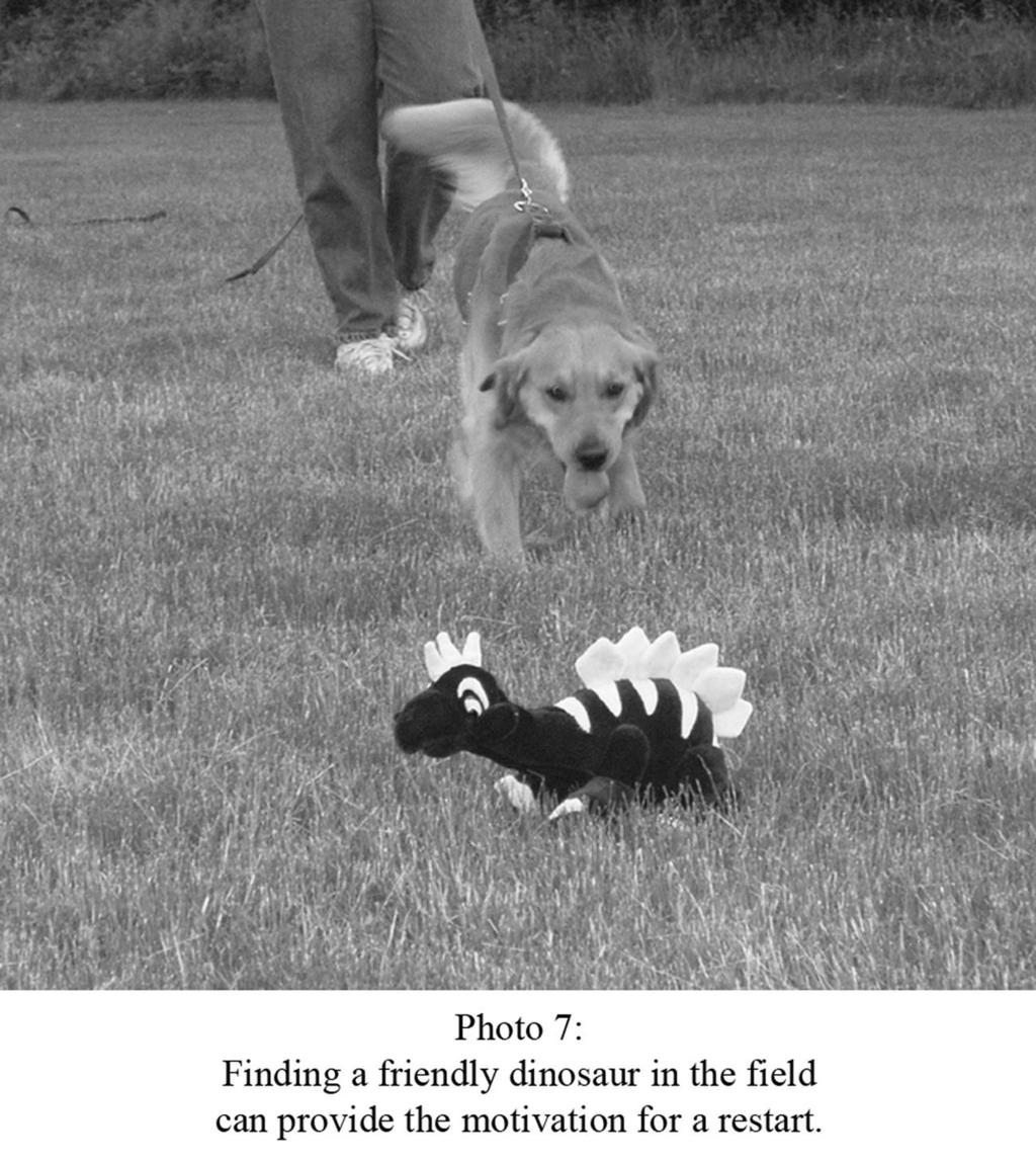 I know that many beginner handlers have it drilled into their heads that the dog is the one that knows what is going on in the tracking field and handlers needs to abandon the idea that they are in