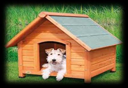 Boarding kennels are probably the most commonly used holiday option but they are not necessarily ideal for every dog.