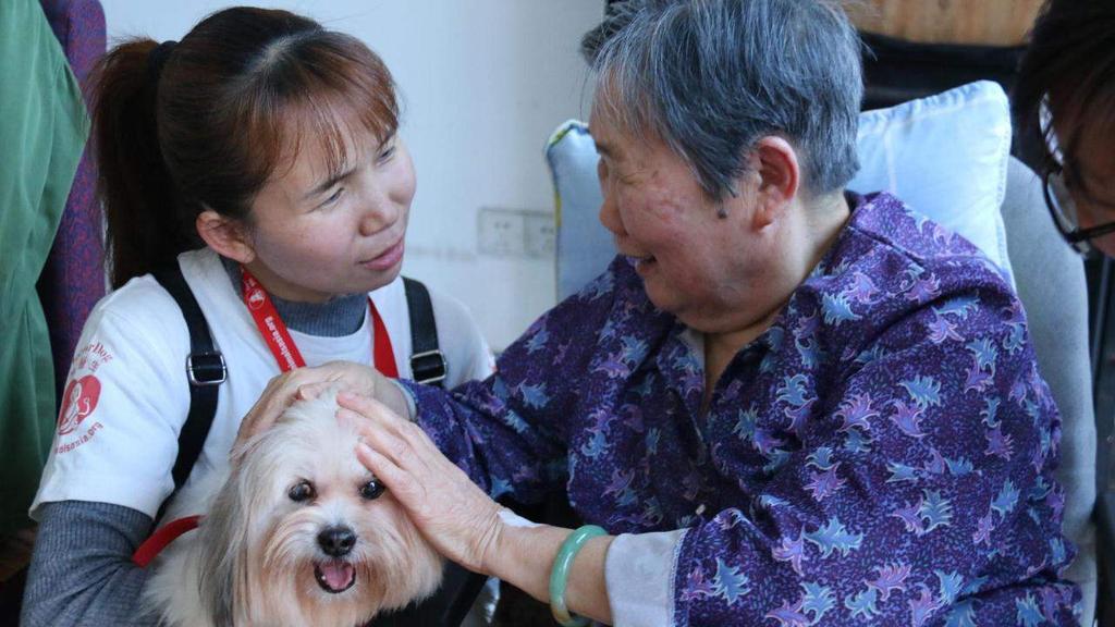 Dr Dog Brings Joy 190 Dr Dog visits in Guangzhou, Shenzhen, Hong Kong and Chengdu